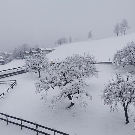 Landidyll Am Thiersee Eksteriør billede