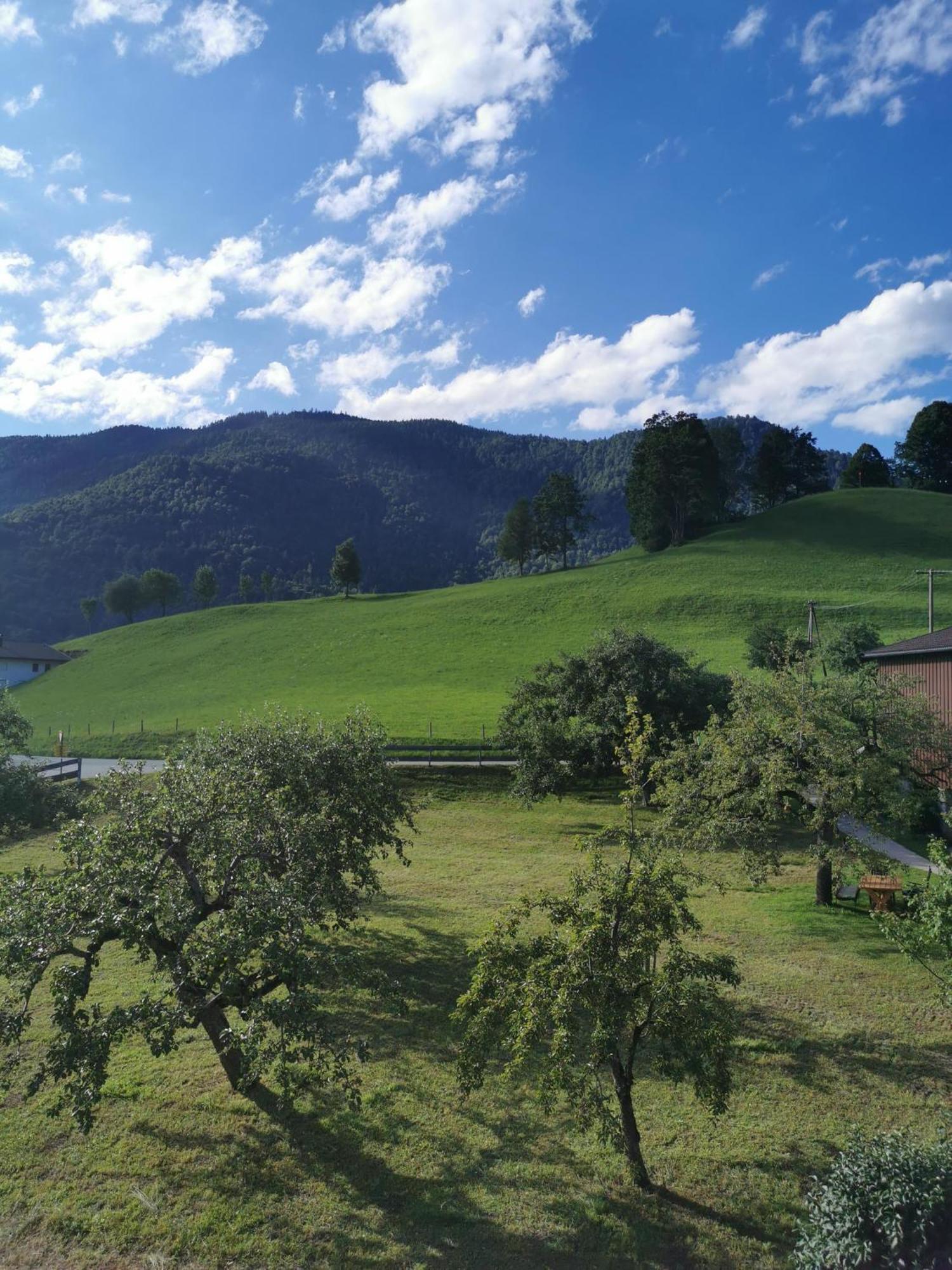 Landidyll Am Thiersee Eksteriør billede