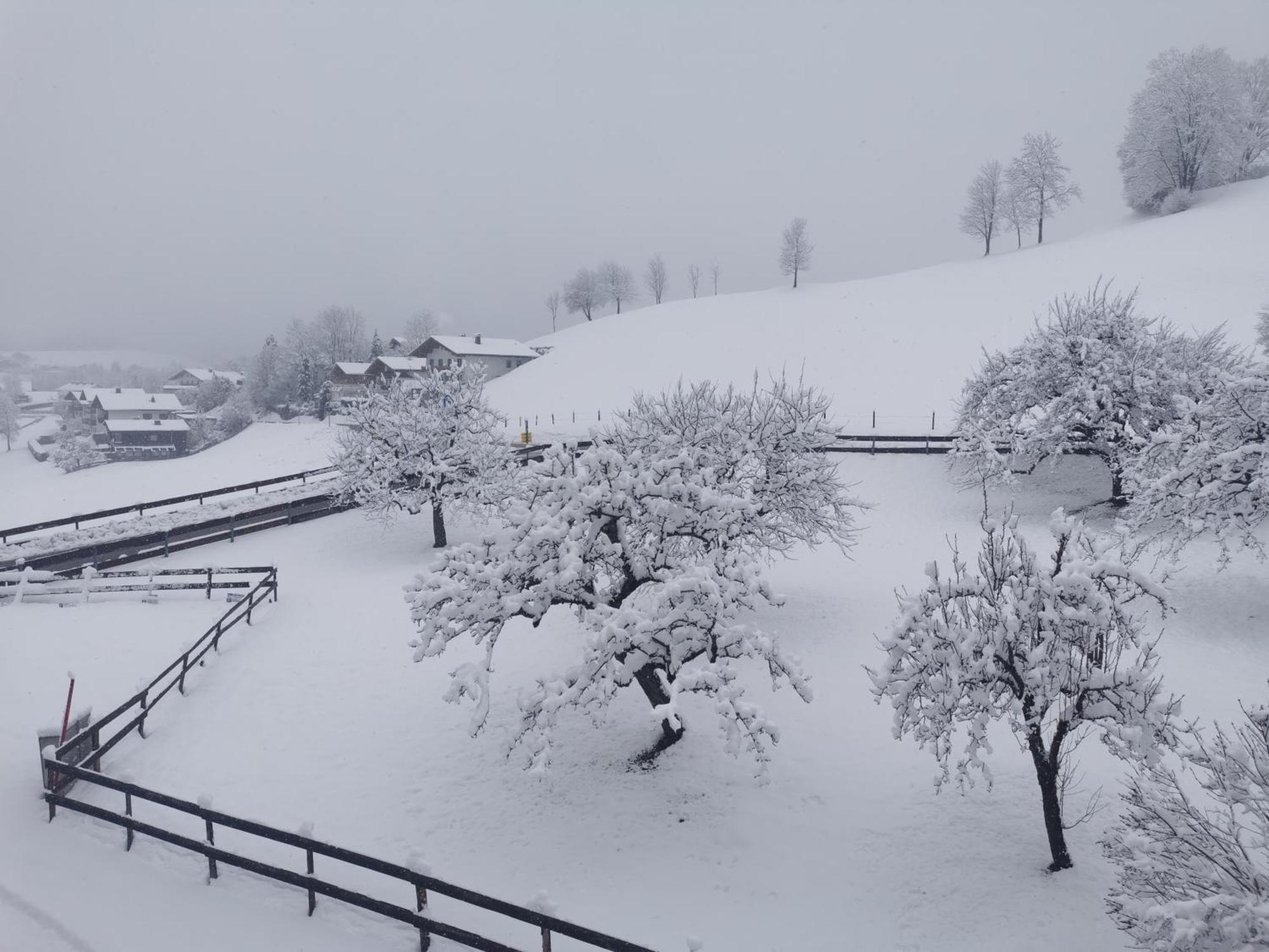 Landidyll Am Thiersee Eksteriør billede
